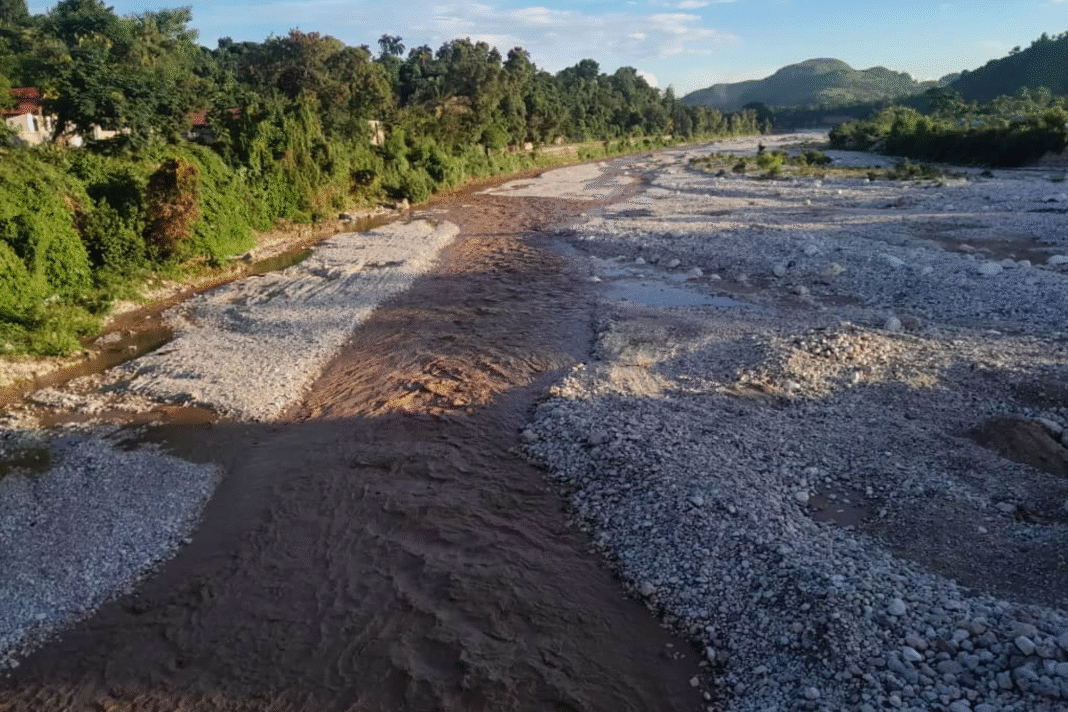 Catastrophes naturelles et désastre écologique : pourquoi Haïti doit restaurer son environnement maintenant
