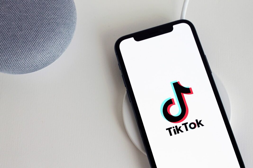 Les TikTokeurs haïtiens : entre persuasion et manipulation Les TikTokeurs haïtiens : entre persuasion et manipulation